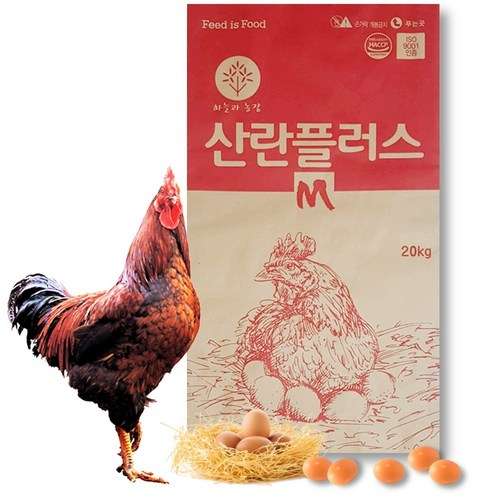 닭사료-추천